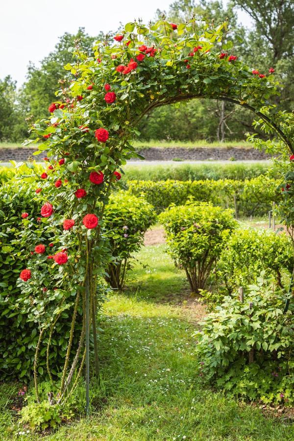 Clos Fleuri : Amboise Home With Amazing Gardens Eksteriør billede